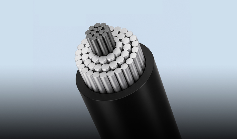 Wuxi Xinyu Cable Co., Ltd.