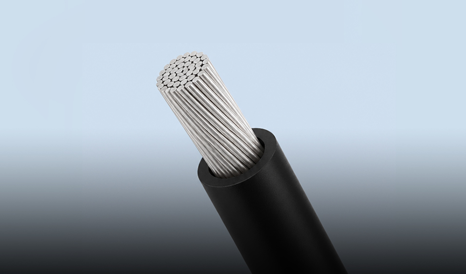 Wuxi Xinyu Cable Co., Ltd.